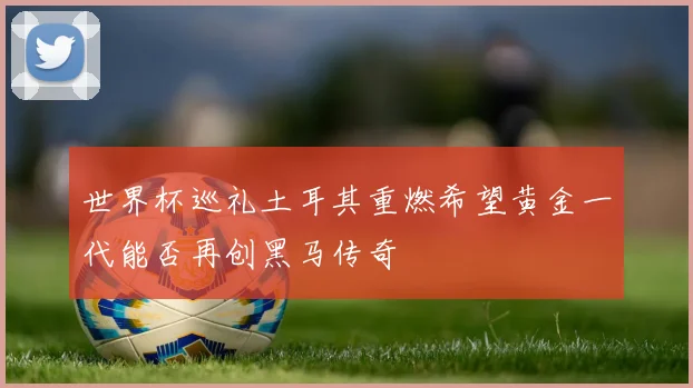 世界杯巡礼土耳其重燃希望黄金一代能否再创黑马传奇